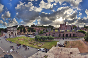 Birds of the Colisseum