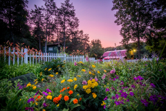 Mom's Garden