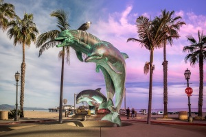 05-ANYE-Santa-Barbara-wharf-Dolphins-4D