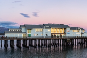 ALEX_NYE_181123-1S1A7072-Pano