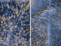 ALEX_NYE_181102-DJI_0653-Edit