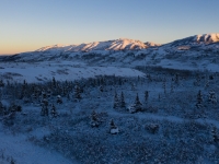 ALEX_NYE_181104-DJI_0776