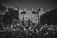 Summer in the City
