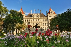 Summer in the City