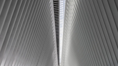 4-NYE_160826_NYC_WTC_Oculus_Calatrava_2