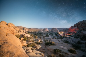 ALEX_NYE_220529_JTree_TL6_0001-4D