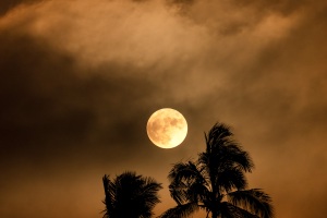 ALEX_NYE_220713_SF__MG_8683
