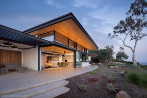 AlexNye_250509_BBird_Sealedge_2523-Edit-1