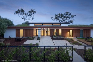 AlexNye_250430_BBird_Sealedge_0635-Edit-2