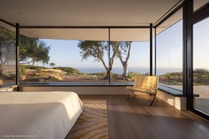 AlexNye_250509_BBird_Sealedge_2140-Edit-1