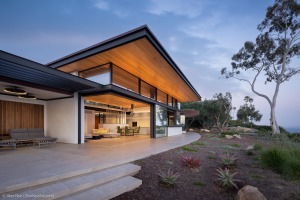 AlexNye_250509_BBird_Sealedge_2523-Edit-1