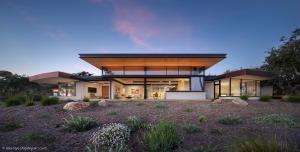 AlexNye_250509_BBird_Sealedge_2546-Edit-1