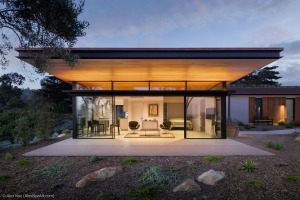 AlexNye_250509_BBird_Sealedge_2579-Edit-1