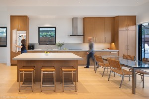 AlexNye_250508_BBird_Shoreline_1014-2