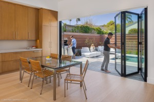 AlexNye_250507_BBird_Shoreline_0443-2