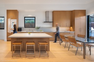 AlexNye_250508_BBird_Shoreline_1014-2