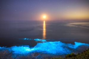 ALEX_NYE_200427-1S1A3586-Edit