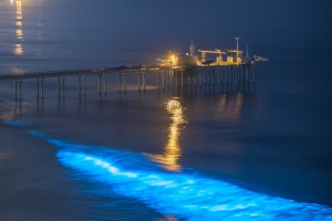 ALEX_NYE_200427-1S1A3661