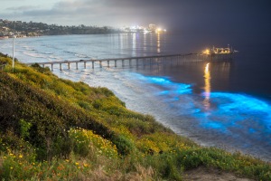 ALEX_NYE_200428-1S1A3704-Edit-3