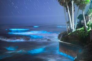 ALEX_NYE_200428-1S1A3725-Edit-2