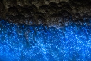 ALEX_NYE_200430-1S1A5013