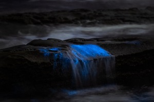 ALEX_NYE_200430-1S1A5047-2