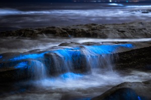 ALEX_NYE_200430-1S1A5063