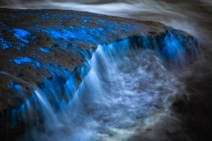 ALEX_NYE_200430-1S1A5484-Edit