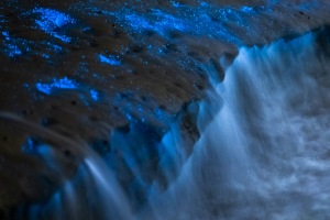 ALEX_NYE_200430-1S1A5485