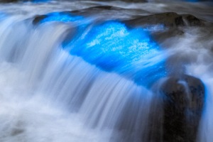 ALEX_NYE_200430-1S1A5513-2