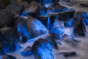 ALEX_NYE_200501-1S1A6123-Edit-2-2