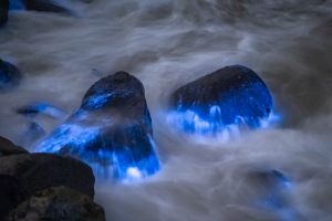 ALEX_NYE_200501-1S1A6165