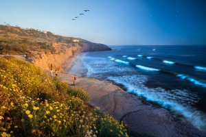 ALEX_NYE_200505-1S1A8064-Edit