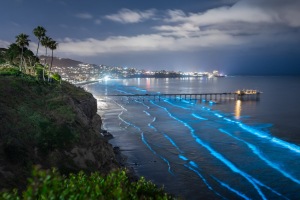 ALEX_NYE_200514-1S1A0037-Edit