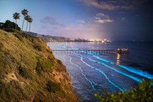 ALEX_NYE_200514-1S1A8648-Edit