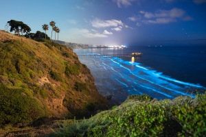 ALEX_NYE_200514-_MG_1507