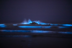 ALEX_NYE_200517-_MG_4449