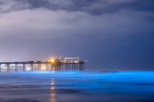 ALEX_NYE_200517-_MG_5422-Pano-2