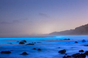 ALEX_NYE_200517-_MG_5556