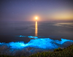 ALEX_NYE_200427-1S1A3586-Edit