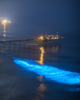 ALEX_NYE_200427-1S1A3661