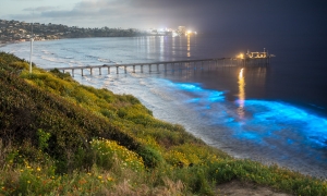 ALEX_NYE_200428-1S1A3704-Edit-3