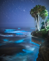 ALEX_NYE_200428-1S1A3725-Edit-2