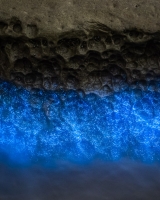 ALEX_NYE_200430-1S1A5013