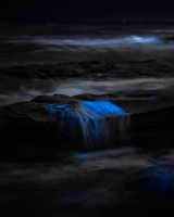 ALEX_NYE_200430-1S1A5047-2