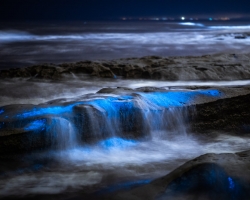 ALEX_NYE_200430-1S1A5063