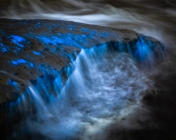 ALEX_NYE_200430-1S1A5484-Edit