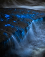 ALEX_NYE_200430-1S1A5485