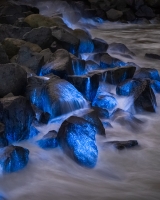 ALEX_NYE_200501-1S1A6123-Edit-2-2