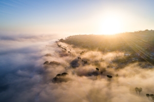 ALEX_NYE_180507-DJI_0092